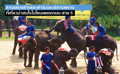 บ้านเดี่ยว เพชรเกษม - พุทธมณฑลสาย 5